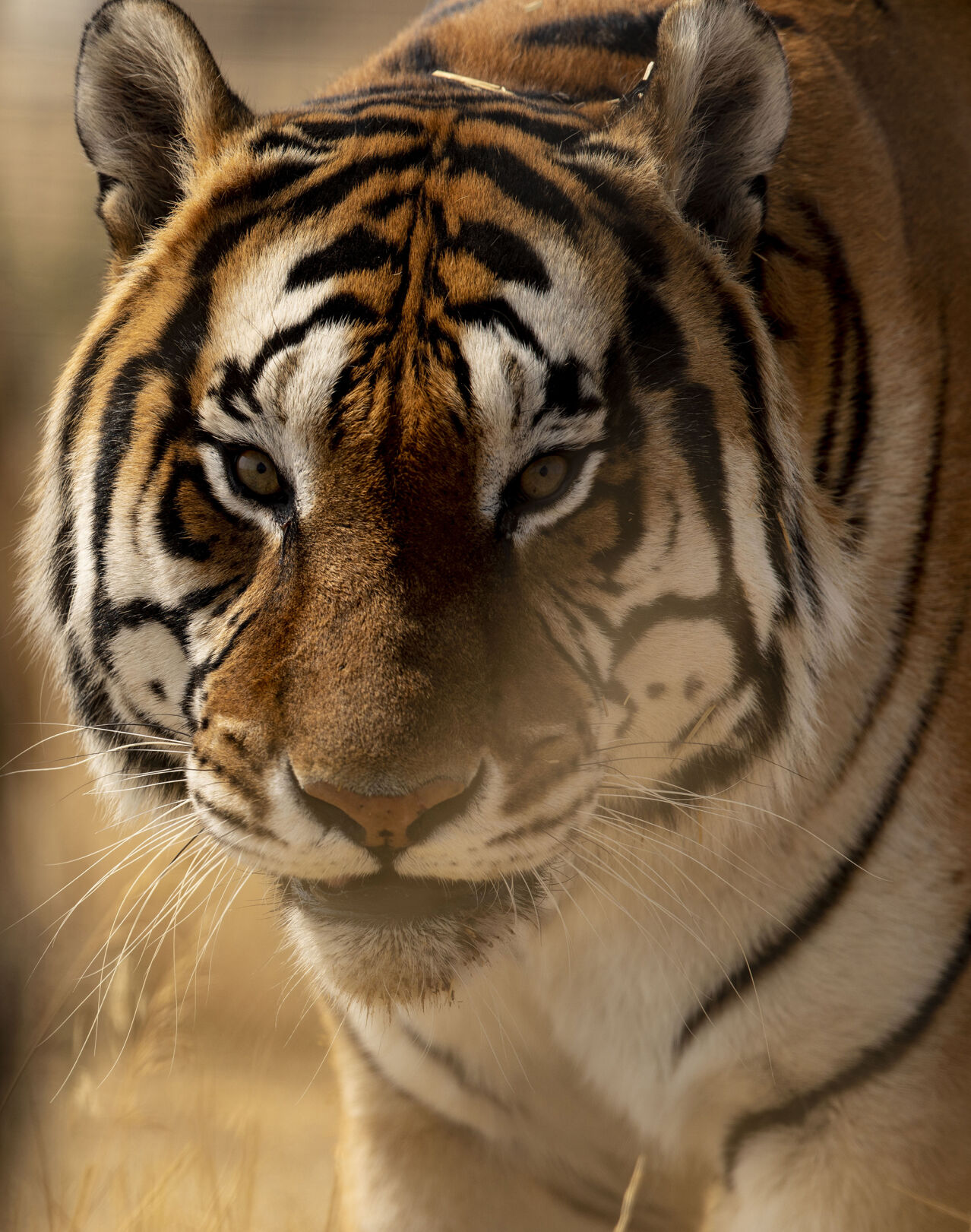 092020-life-wild-dg 10